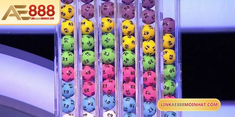 Hãy nuôi đa số để tăng khả năng thắng khi mới tham gia